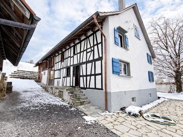 Rent a 5 ½ rooms farm house in Horgen Flatfox
