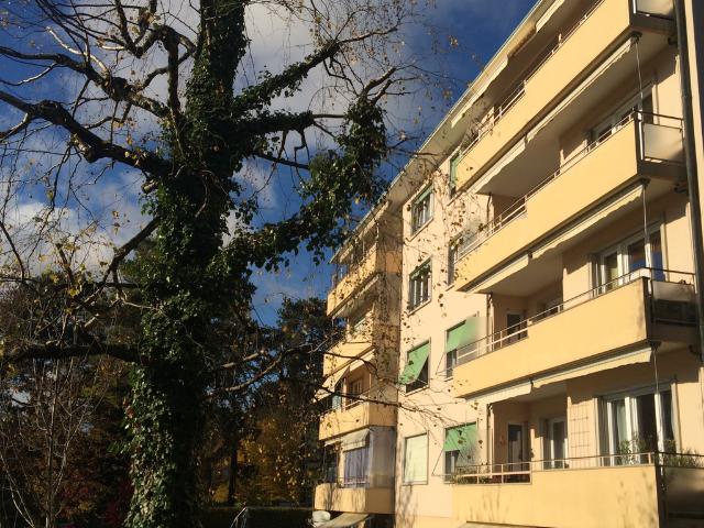 Rent a 6 ½ rooms apartment in Pully Flatfox
