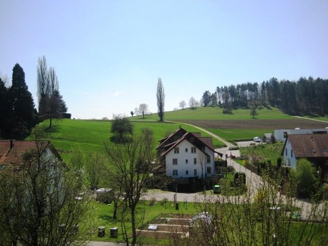 Rent a 6 ½ rooms single house in Boppelsen Flatfox