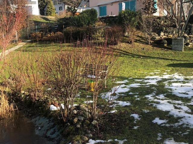 Rent a 6 rooms single house in Le Mont sur Lausanne Flatfox