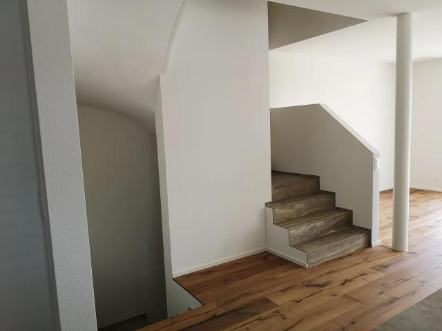 Rent a 6 ½ rooms single house in Sursee Flatfox