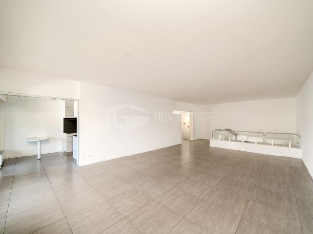 Rent a 4 ½ rooms apartment in Paradiso Flatfox