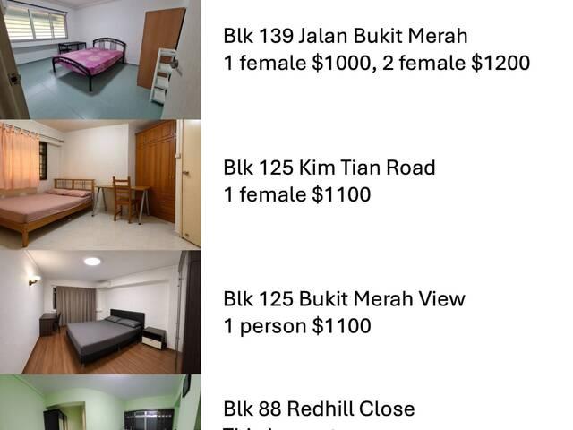 Rent Bukit Merah rooms