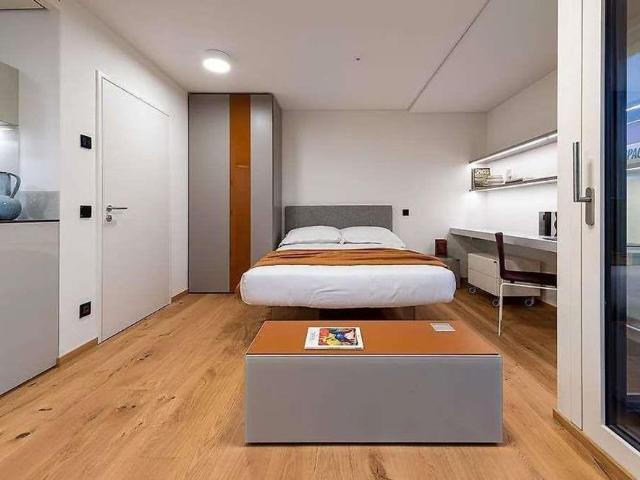 Rent furnished studio apartment stabio