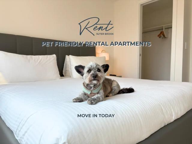 Rent Suter Brook in Suter Brook Village