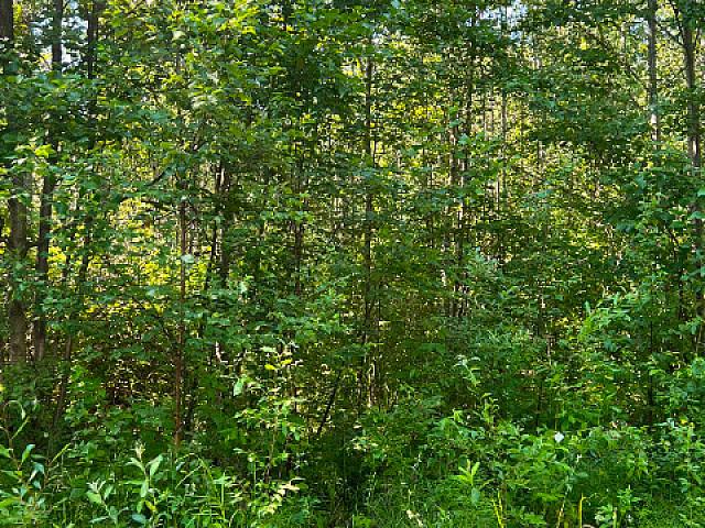Rent To Own / Trades Lake Lots Less Slave Lake kinuso