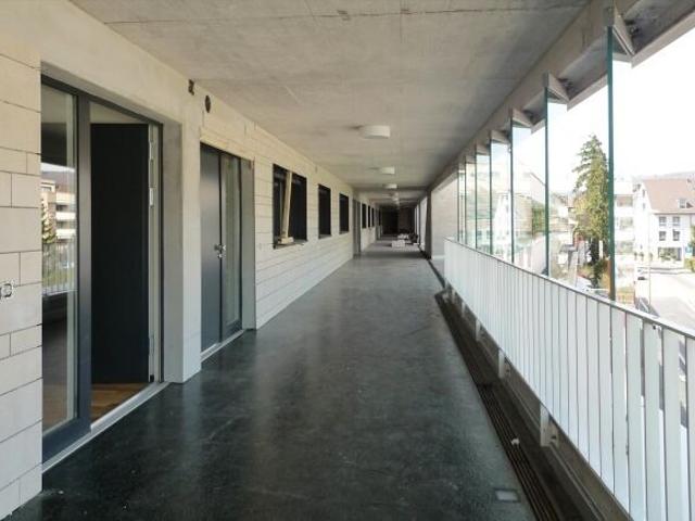 RENT WITHOUT DEPOSIT A dream home in the middle of Sissach