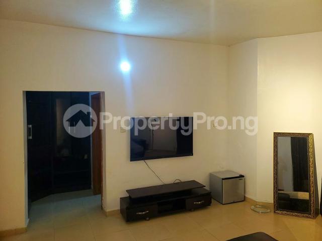 Rent 1 Bedroom Apartment in Lekki Phase 1, Lekki Lagos 5MTYL | PropertyPro Nigeria