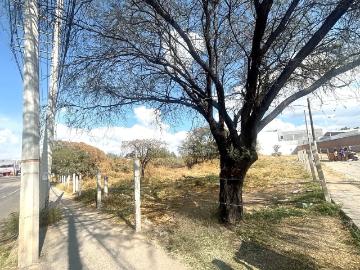 RENTA TERRENO EN BLVD A POCITOS