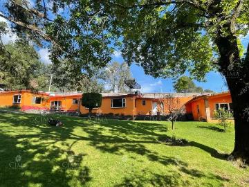 Renta Casa Jardín con Bosque R193