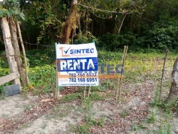 RENTA DE UNA HECTAREA EN CARR. TIHUATLAN CASTILLO DE TEAYO, VERACRUZ