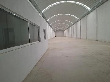 Renta de Bodega Industrial en Zona Papalotla, Tlaxcala con Fácil Acceso para Camiones