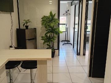 Renta de Departamento de 3 Recamaras