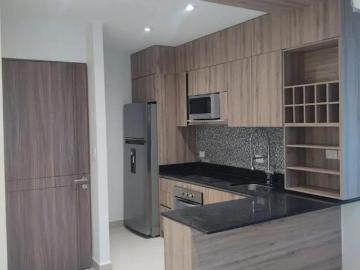 Renta de Departamento de 1 Rec?mara zona TEC Mty