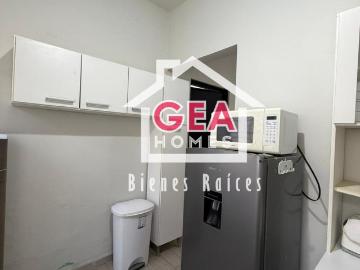 RENTA DE DEPARTAMENTO EN CALLE LOS MANGOS, MADERO TAMPS