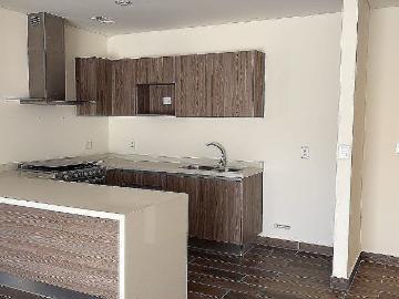 RENTA DE DEPARTAMENTO PLANTA BAJA EN CENTRO SUR