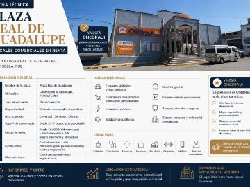 Renta de locales en Plaza Real de Guadalupe, Puebla