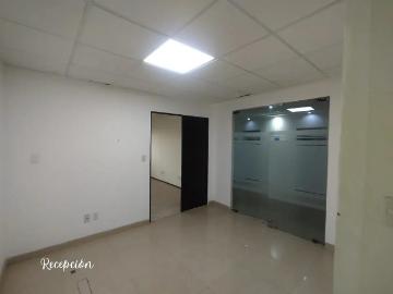 Renta de Pisos Completos en edificio comercial con Amplio Metraje