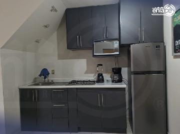 Renta Departamento amueblado