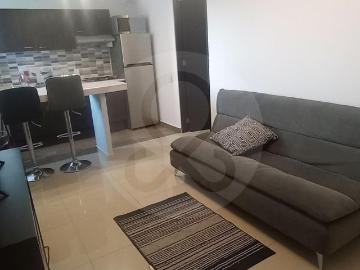 Renta Dpto. Tipo Suite AMUEBLADA en Palo Solo