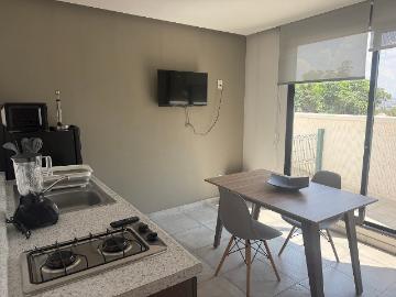 RENTA LOFT AMUEBLADO LOMA DORADA