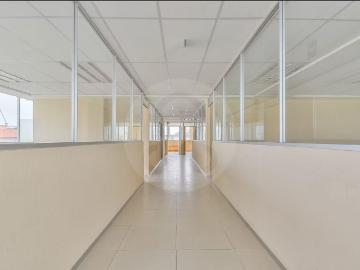 RENTA OFICINAS DE 102 A 3000 M2 !