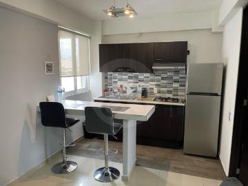 Renta Suites Amuebladas DESDE $14,000 en Palo Solo