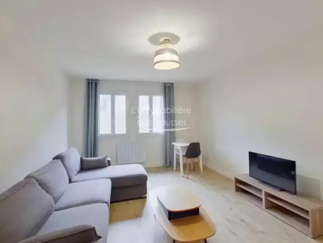Rental Apartment Mijoux