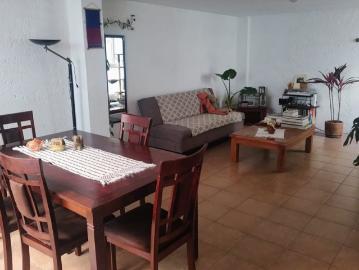 Rento bonita habitación en Coyoacán