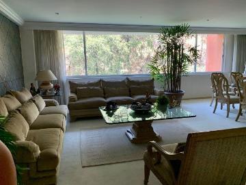 rento en tamarindos en bosques de las lomas