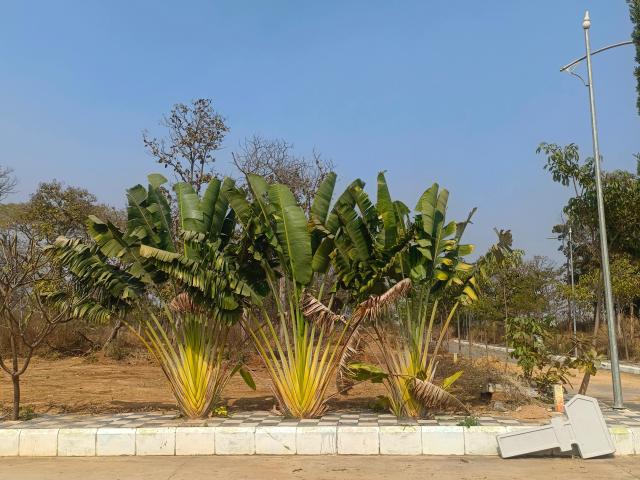 Renuka Surya Enclave Narsampally 167 Sq. Yd. Plot in Narsampally Hyderabad Listing ID: #10049
