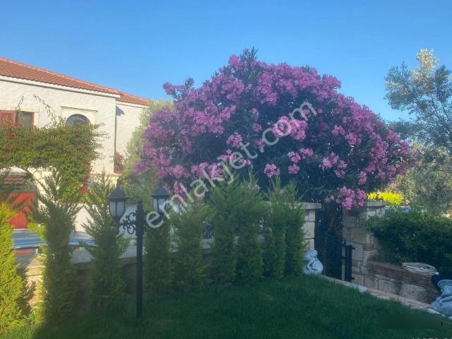 Ren'den Çeşme Alaçatıda 3+1 Kiralık Villa