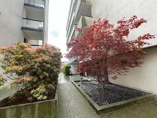 Rennes 35000 Achat / Vente appartement 3 pièces t3 terrasse