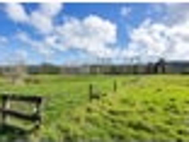 Renovate, Landbank or Enjoy as Is