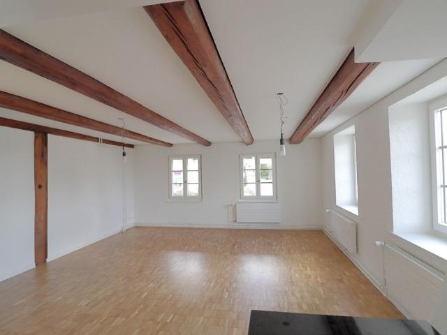 Renovated 3.5 room apartment in an old farmhouse