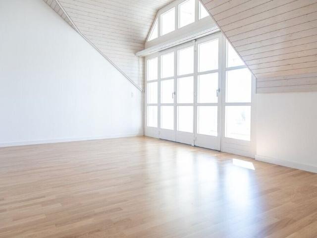Renovated 3.5 room penthouse apartment