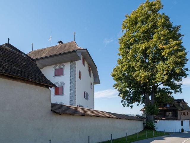 Renovated 7 room farmhouse