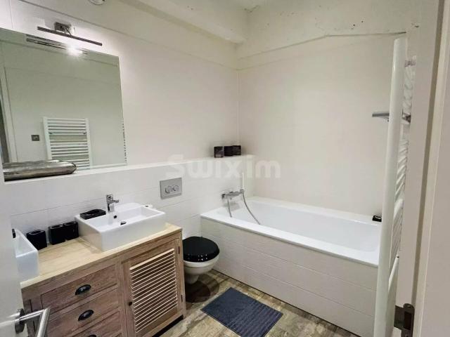 Renovated and furnished duplex in Geneva | dreamo. Ch