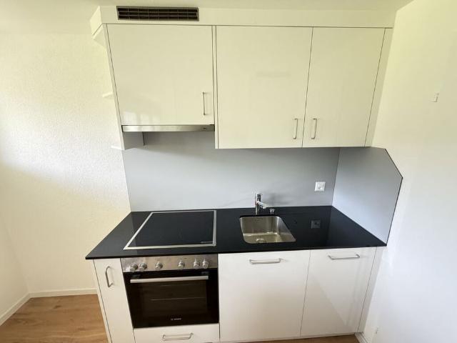 Apartment with 2.5 rooms for rent in Glovelier 43 m²