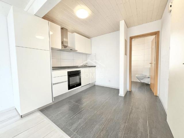 Renovated apartment in a central location