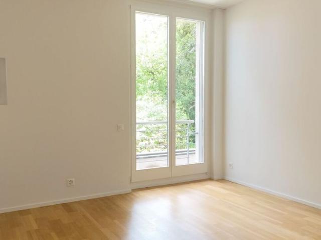 Renovated apartment with fireplace, 2 terraces and ornamental garden Bruderholz