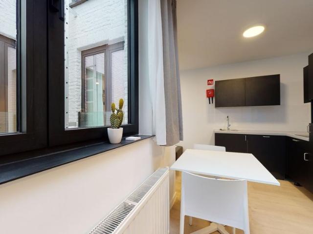 Renovated, furnished studio in residence EMILIA, Leuven with bicycle storage 23.00m² living area