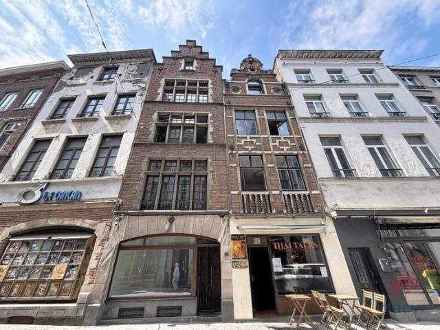 Renovated studio flat