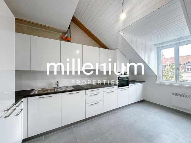 Renovated penthouse duplex in old Carouge