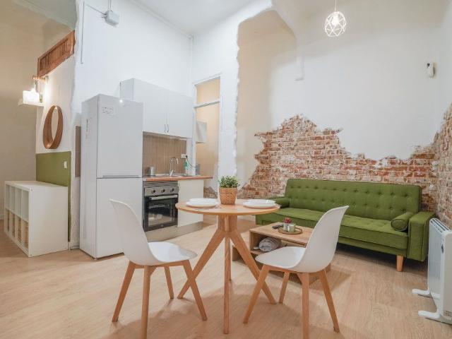 Renovated two bedroom apartment in Lavapiés