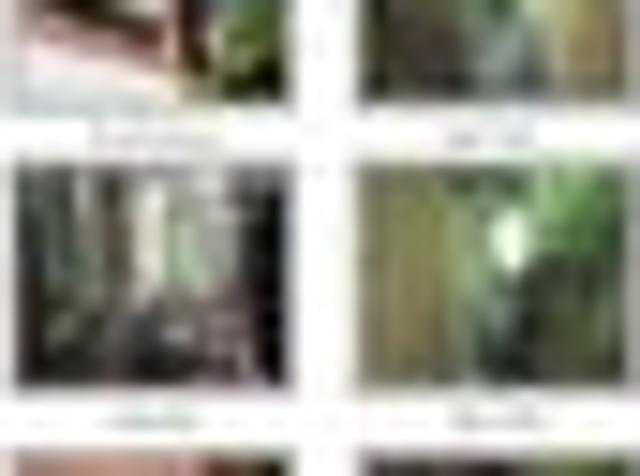 Renovator’s dream All offers will be considered