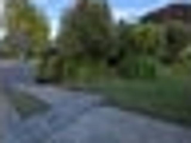 Renovator's delight