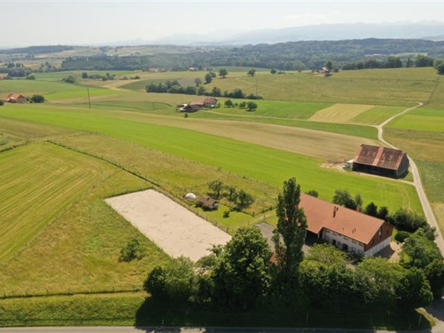 Renovierte Pferdefarm mit 220m² Wohnfläche + Paddock