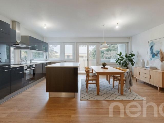 Renovierte und überquerende Wohnung, ideal gelegen