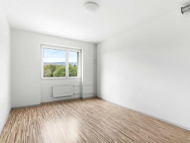 Renovierte und praktische Wohnung | dreamo. Ch